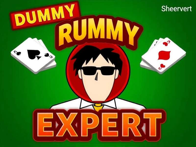 Dummy Rummy Expert Game Interface Dummy Rummy Expert Gameplay